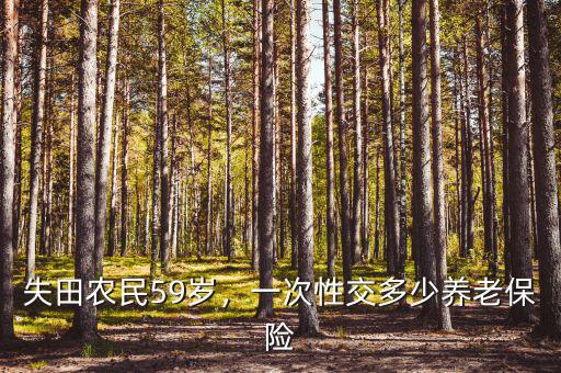 失田農(nóng)民59歲，一次性交多少養(yǎng)老保險(xiǎn)