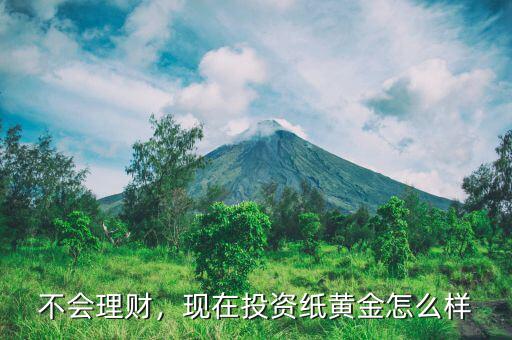 不會理財，現(xiàn)在投資紙黃金怎么樣
