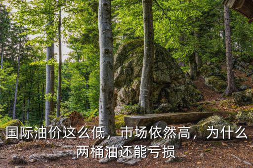 國(guó)際油價(jià)這么低，市場(chǎng)依然高，為什么兩桶油還能虧損