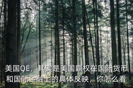 美國QE，其實(shí)是美國霸權(quán)在國際貨幣和國際金融上的具體反映，你怎么看