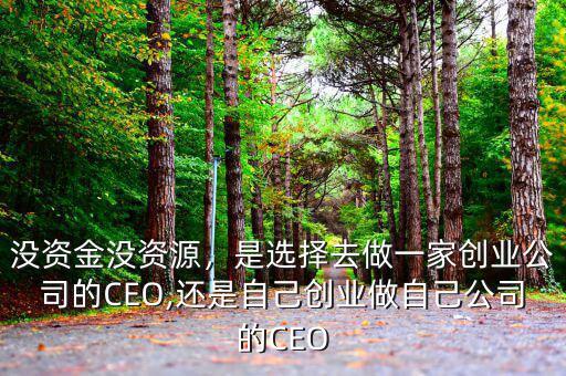 沒(méi)資金沒(méi)資源，是選擇去做一家創(chuàng)業(yè)公司的CEO,還是自己創(chuàng)業(yè)做自己公司的CEO