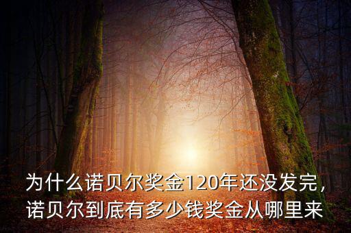 為什么諾貝爾獎金120年還沒發(fā)完，諾貝爾到底有多少錢獎金從哪里來