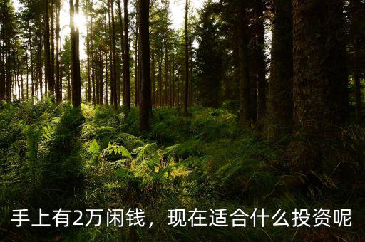 手上有2萬閑錢，現(xiàn)在適合什么投資呢