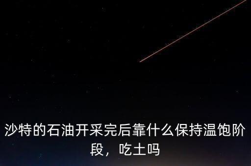 沙特的石油開采完后靠什么保持溫飽階段，吃土嗎