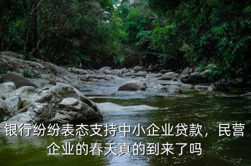 銀行紛紛表態(tài)支持中小企業(yè)貸款，民營(yíng)企業(yè)的春天真的到來(lái)了嗎