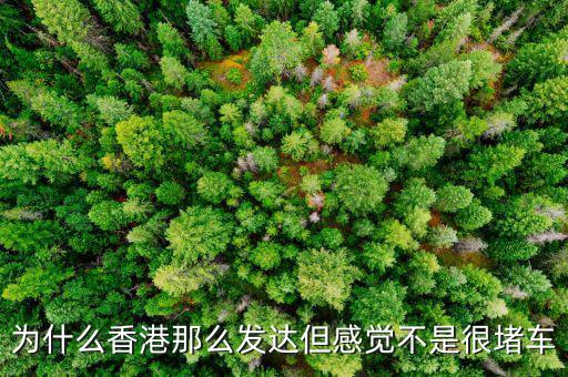 為什么香港那么發(fā)達(dá)但感覺(jué)不是很堵車