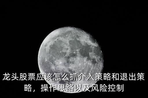 龍頭股票應該怎么抓介入策略和退出策略，操作思路以及風險控制