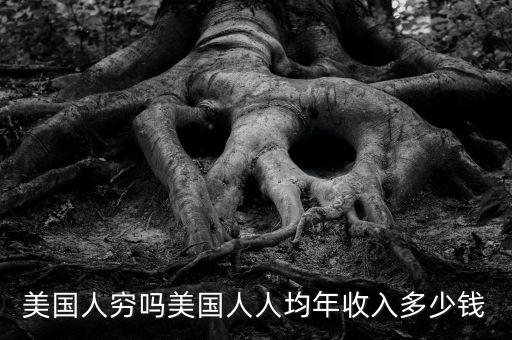 美國(guó)人窮嗎美國(guó)人人均年收入多少錢(qián)