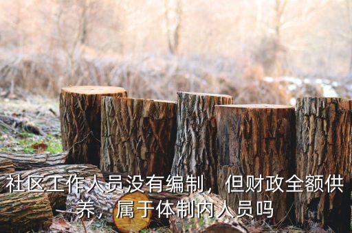社區(qū)工作人員沒(méi)有編制，但財(cái)政全額供養(yǎng)，屬于體制內(nèi)人員嗎
