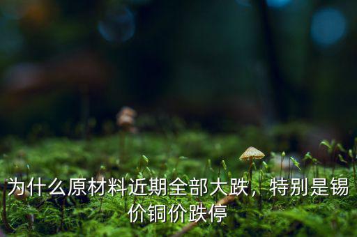 為什么原材料近期全部大跌，特別是錫價(jià)銅價(jià)跌停