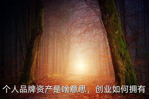 個(gè)人品牌資產(chǎn)是啥意思，創(chuàng)業(yè)如何擁有