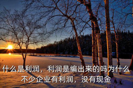 什么是利潤(rùn)，利潤(rùn)是編出來(lái)的嗎為什么不少企業(yè)有利潤(rùn)，沒(méi)有現(xiàn)金