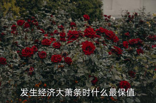 經(jīng)濟(jì)不景氣時什么消費最大,發(fā)生經(jīng)濟(jì)大蕭條時什么最保值