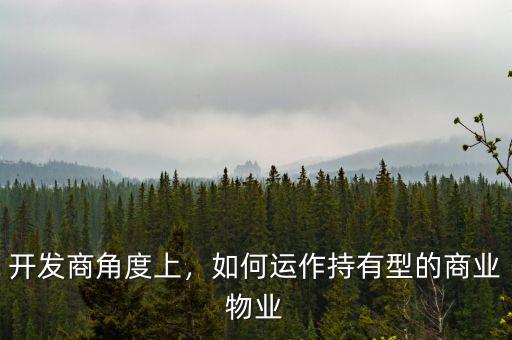 開發(fā)商角度上，如何運作持有型的商業(yè)物業(yè)