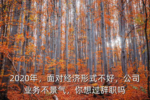 2020年，面對(duì)經(jīng)濟(jì)形式不好，公司業(yè)務(wù)不景氣，你想過辭職嗎