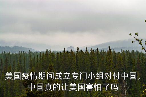 美國(guó)疫情期間成立專門(mén)小組對(duì)付中國(guó)，中國(guó)真的讓美國(guó)害怕了嗎