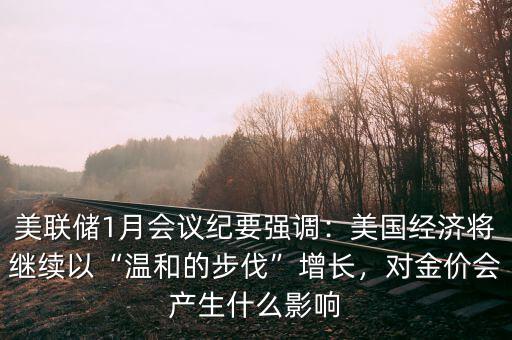 美聯(lián)儲1月會議紀要強調：美國經濟將繼續(xù)以“溫和的步伐”增長，對金價會產生什么影響