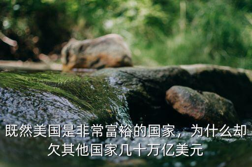 既然美國是非常富裕的國家，為什么卻欠其他國家?guī)资f億美元