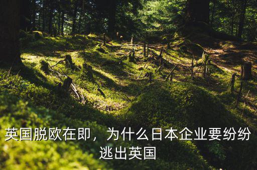 英國脫歐在即，為什么日本企業(yè)要紛紛逃出英國