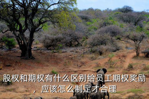 股權(quán)和期權(quán)有什么區(qū)別給員工期權(quán)獎(jiǎng)勵(lì)，應(yīng)該怎么制定才合理