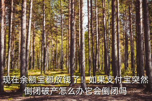 現(xiàn)在余額寶都放錢了！如果支付寶突然倒閉破產(chǎn)怎么辦它會(huì)倒閉嗎