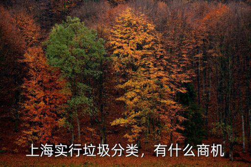 上海實(shí)行垃圾分類(lèi)，有什么商機(jī)