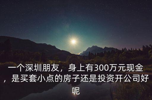 一個深圳朋友，身上有300萬元現(xiàn)金，是買套小點的房子還是投資開公司好呢