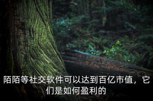 陌陌等社交軟件可以達到百億市值，它們是如何盈利的