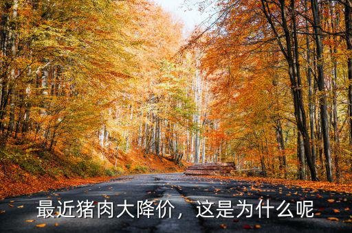 最近豬肉大降價，這是為什么呢