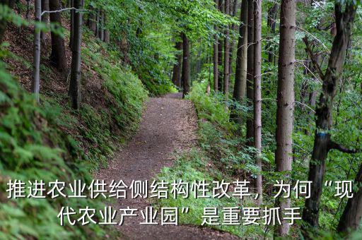 推進(jìn)農(nóng)業(yè)供給側(cè)結(jié)構(gòu)性改革，為何“現(xiàn)代農(nóng)業(yè)產(chǎn)業(yè)園”是重要抓手