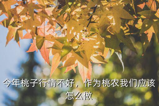 今年桃子行情不好，作為桃農(nóng)我們應(yīng)該怎么做