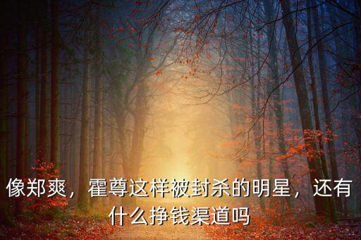 像鄭爽，霍尊這樣被封殺的明星，還有什么掙錢渠道嗎