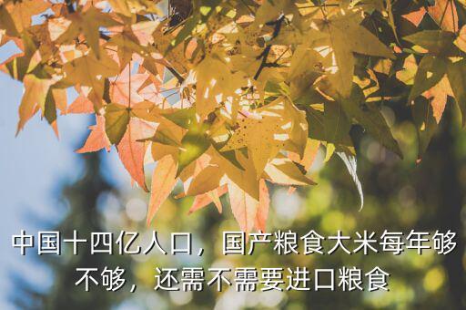 中國十四億人口，國產糧食大米每年夠不夠，還需不需要進口糧食