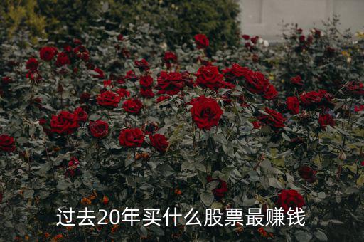過(guò)去20年買(mǎi)什么股票最賺錢(qián)