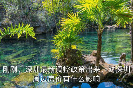 剛剛，深圳最新調(diào)控政策出來，對深圳周邊房價有什么影響