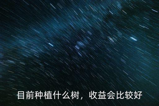 目前種植什么樹(shù)，收益會(huì)比較好