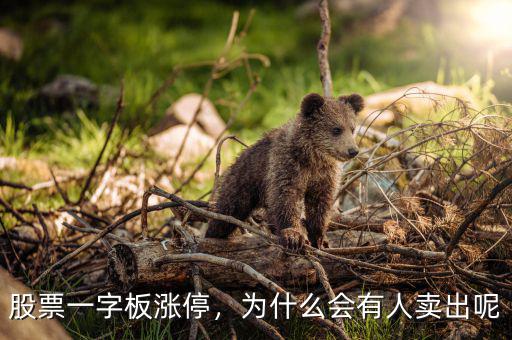 股票一字板漲停，為什么會(huì)有人賣出呢