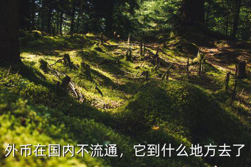 外幣在國內(nèi)不流通，它到什么地方去了