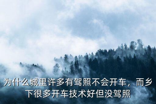 為什么城里許多有駕照不會(huì)開車，而鄉(xiāng)下很多開車技術(shù)好但沒駕照