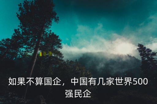 如果不算國(guó)企，中國(guó)有幾家世界500強(qiáng)民企