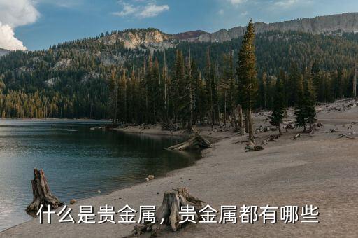 黃金都分什么金,請(qǐng)問(wèn)買什么黃金好