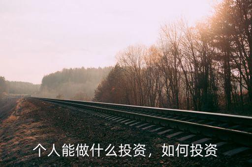 個人能做什么投資，如何投資