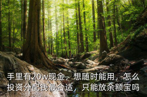 手里有20w現(xiàn)金，想隨時(shí)能用，怎么投資分配錢最合適，只能放余額寶嗎