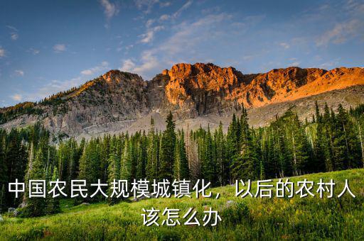 中國(guó)農(nóng)民大規(guī)模城鎮(zhèn)化，以后的農(nóng)村人該怎么辦