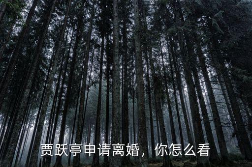 賈躍亭申請離婚，你怎么看