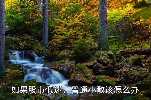 如果股市低迷，普通小散該怎么辦