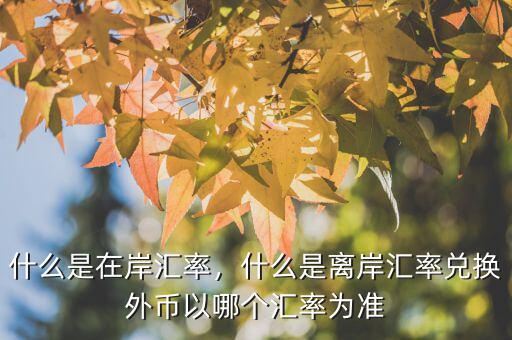 什么是在岸匯率，什么是離岸匯率兌換外幣以哪個(gè)匯率為準(zhǔn)