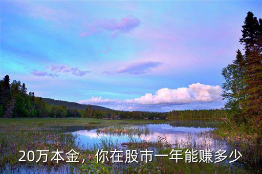 20萬本金，你在股市一年能賺多少
