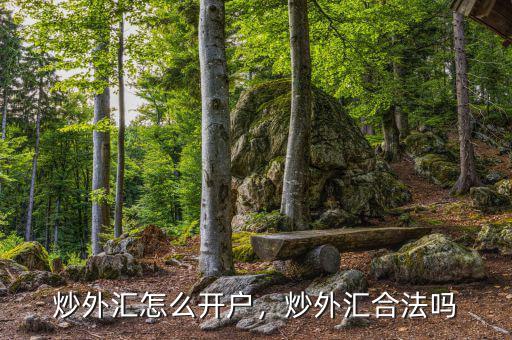 炒外匯怎么開戶，炒外匯合法嗎