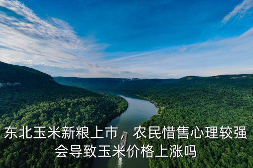 東北玉米新糧上市，農(nóng)民惜售心理較強(qiáng)會(huì)導(dǎo)致玉米價(jià)格上漲嗎